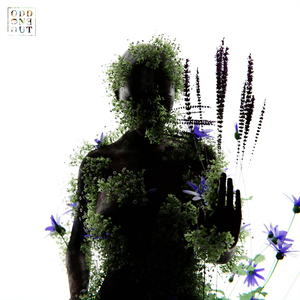 宅男视频在线网站
