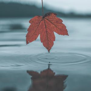 宅男视频在线网站
